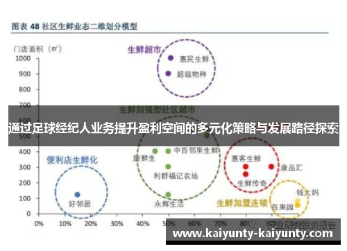 通过足球经纪人业务提升盈利空间的多元化策略与发展路径探索