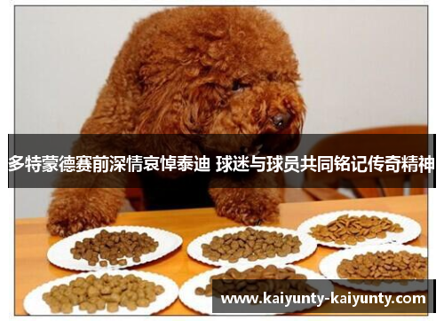 多特蒙德赛前深情哀悼泰迪 球迷与球员共同铭记传奇精神