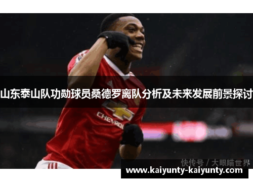 山东泰山队功勋球员桑德罗离队分析及未来发展前景探讨