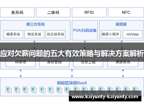 应对欠薪问题的五大有效策略与解决方案解析