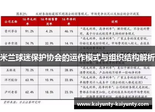 米兰球迷保护协会的运作模式与组织结构解析