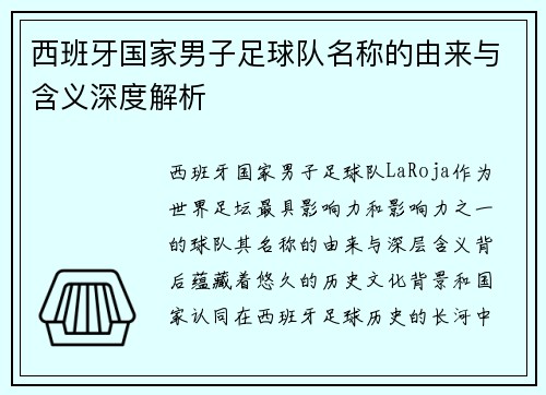 西班牙国家男子足球队名称的由来与含义深度解析